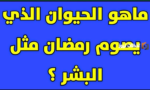 ماهو الحيوان الذي يصوم رمضان